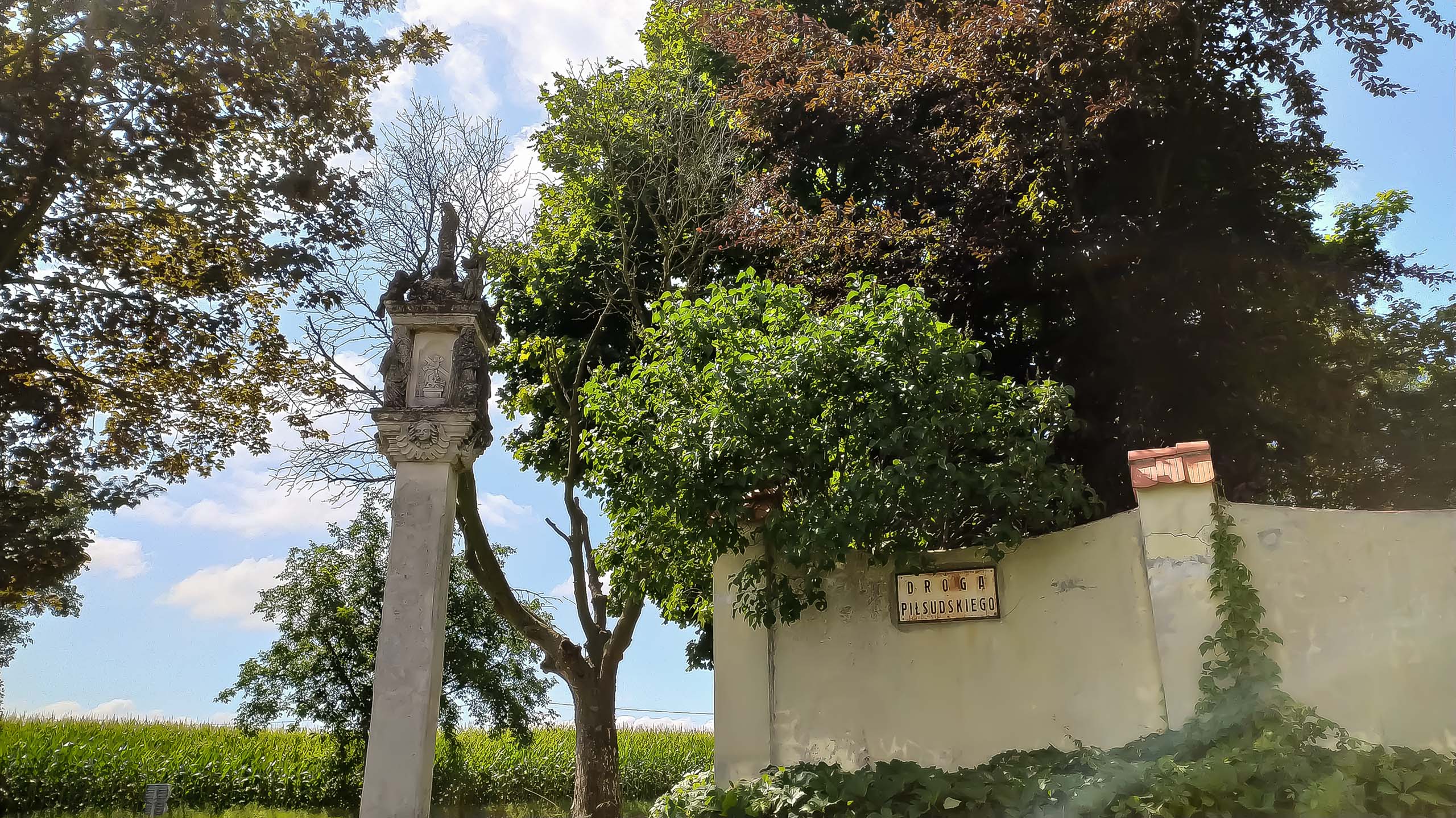 IMG 20200801 104922 kopia